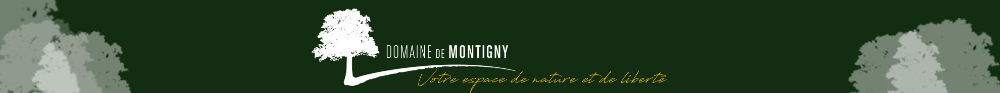 Domaine de Montigny.fr-logo et tétière