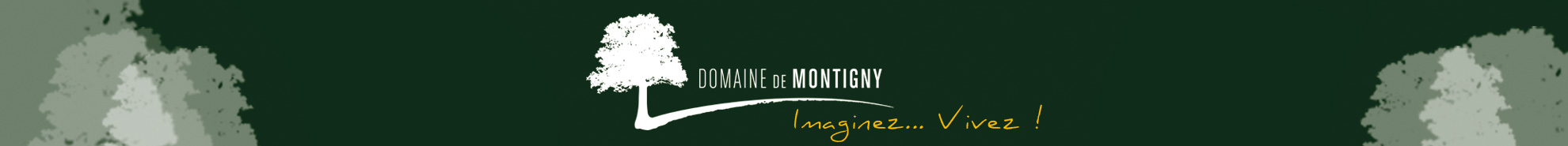 Domaine de Montigny.fr-logo et tétière